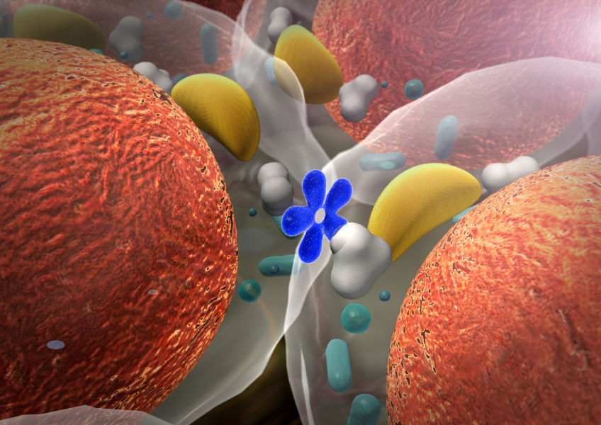 Imagem de um hormônio.